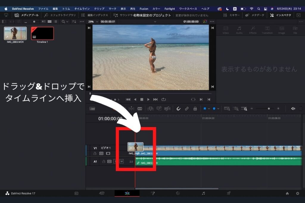 中田 暖人:DaVinci Resolve編集画面