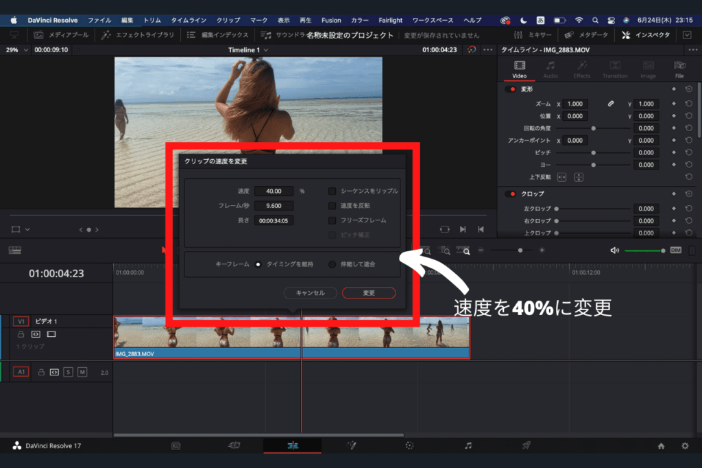 中田 暖人:DaVinci Resolve編集画面