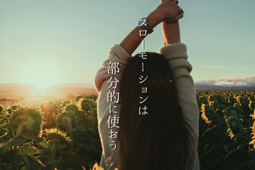 中田 暖人:ひまわり畑と女性